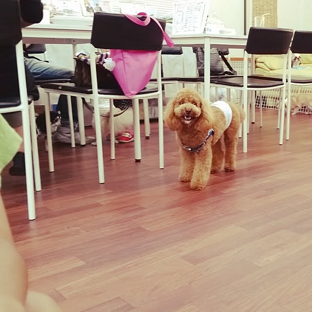 tomoki.さんの実例写真