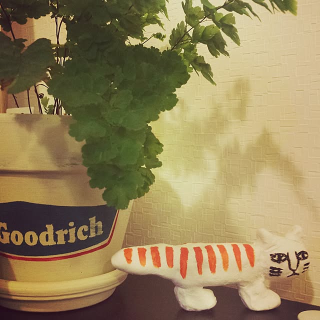 seiさんの実例写真