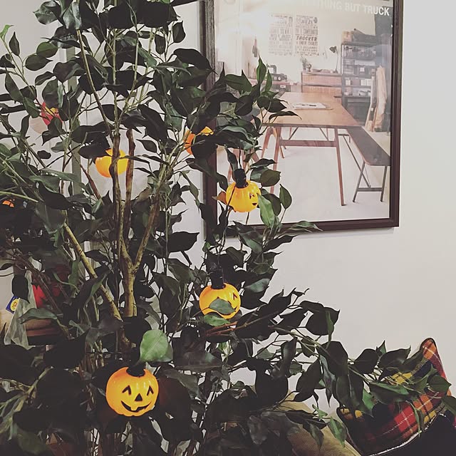 no.3838さんの実例写真