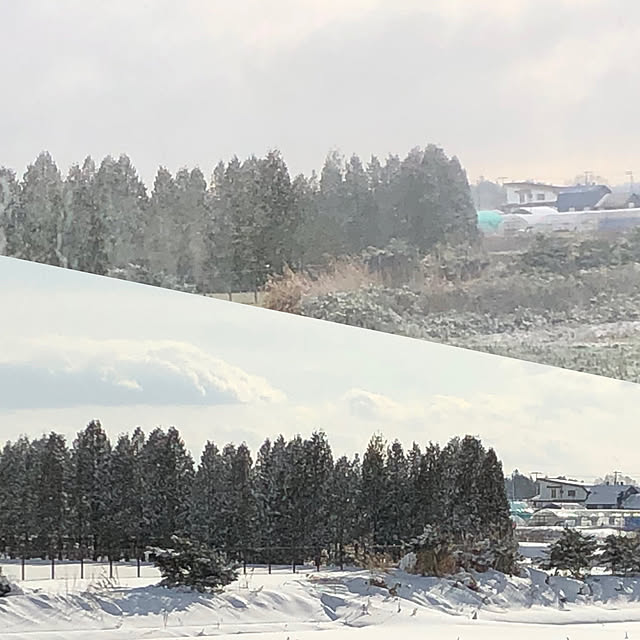 実例写真