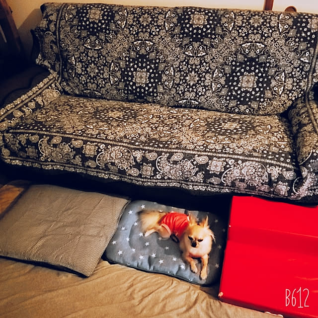 N+さんの実例写真