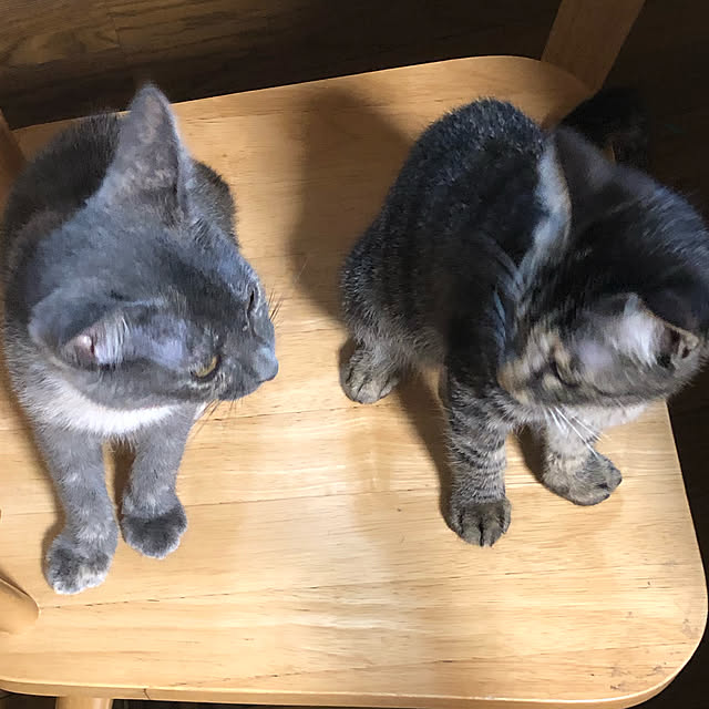 mamiさんの実例写真
