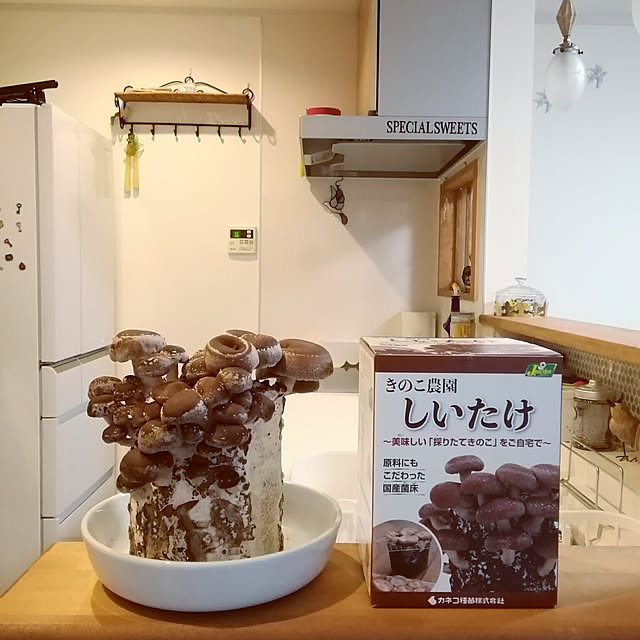 naive.coccoさんの実例写真