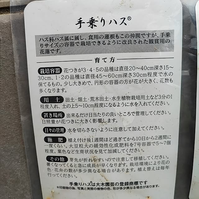 miharunさんの部屋