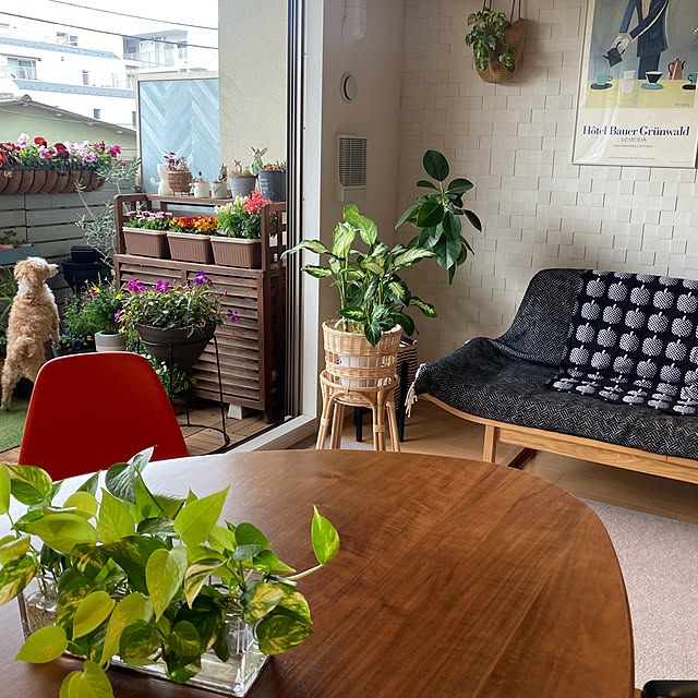 marukoさんの部屋