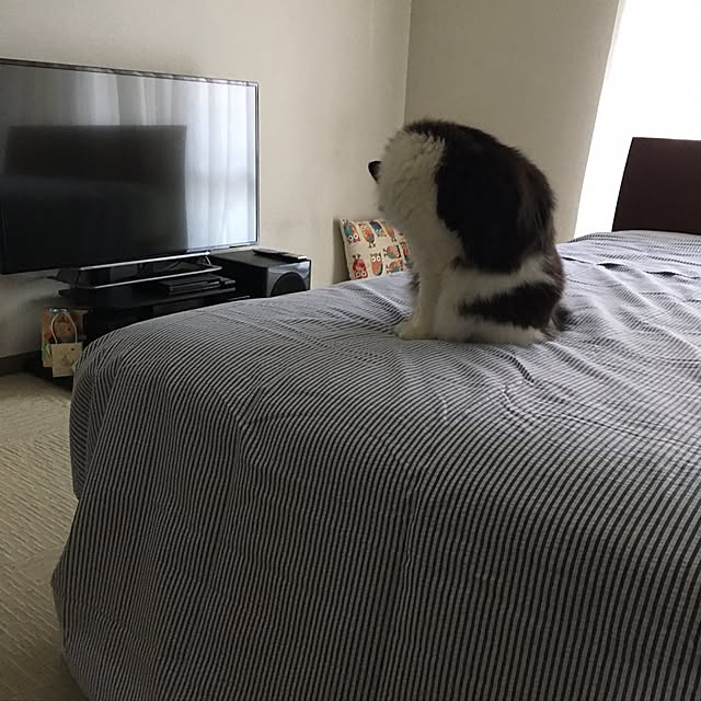 konikoniさんの実例写真