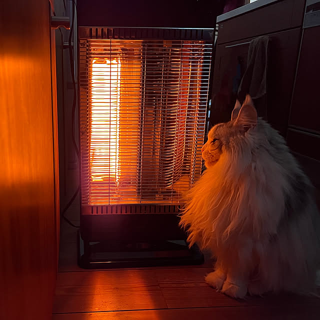 Kikko.さんの実例写真