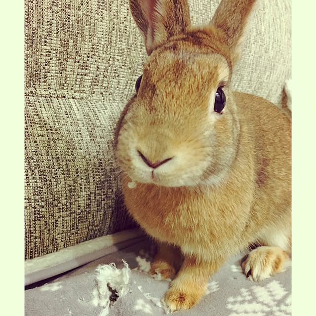 Tomoさんの実例写真