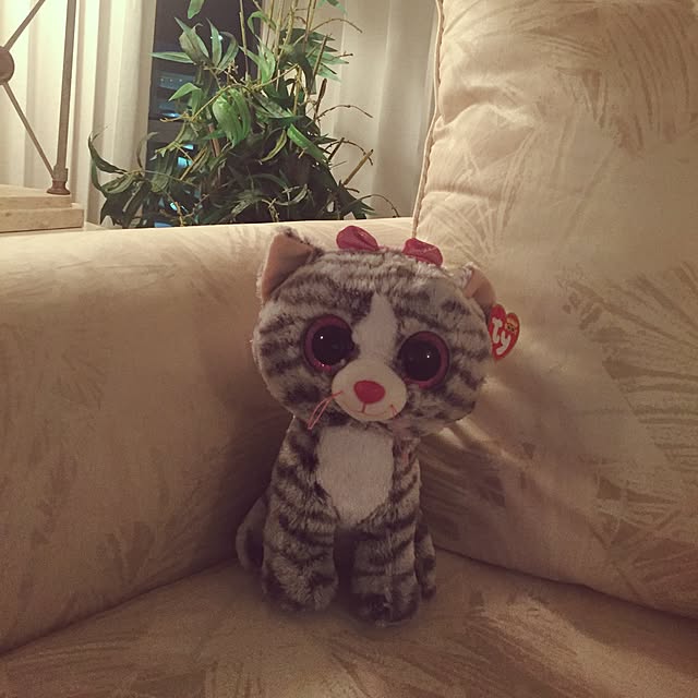 tityさんの実例写真