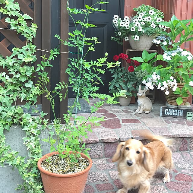 bibianさんの実例写真