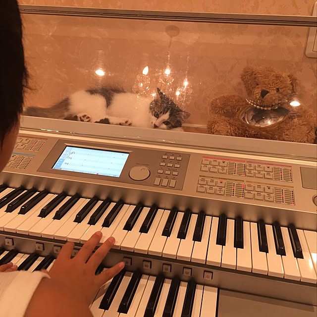 Mutsumiさんの実例写真