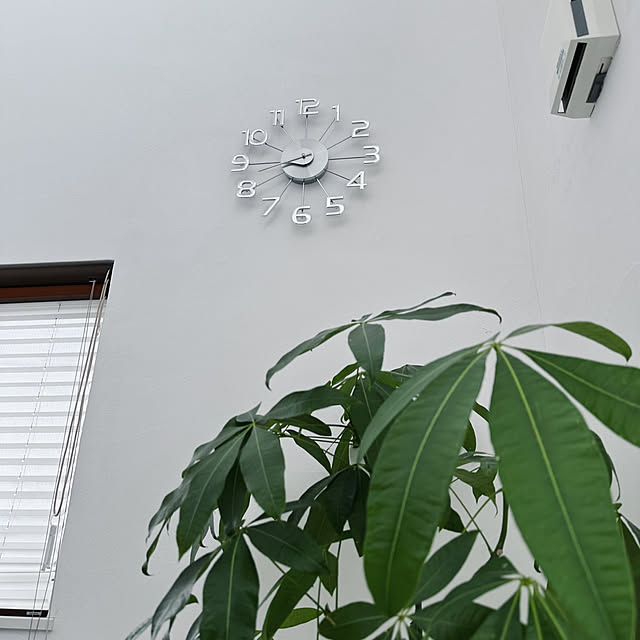 hanahana1444さんの部屋
