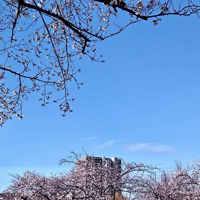 mi-saさんの部屋
