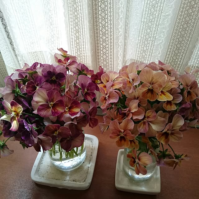 nanigenaihibiさんの実例写真