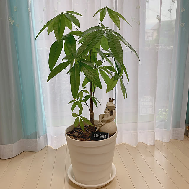 Samさんの実例写真