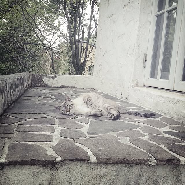 mikarinさんの実例写真