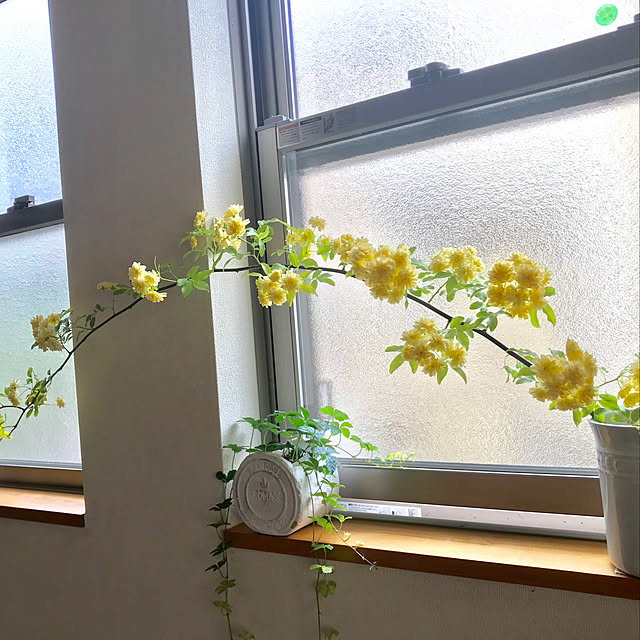 cocoさんの実例写真
