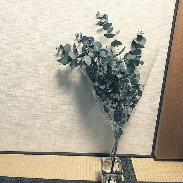 hi-さんの実例写真
