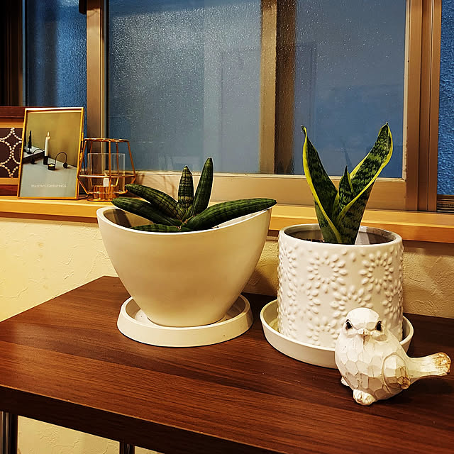 makkyさんの実例写真