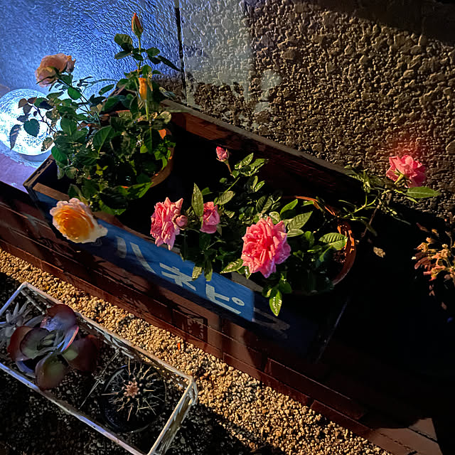 shin0719さんの実例写真