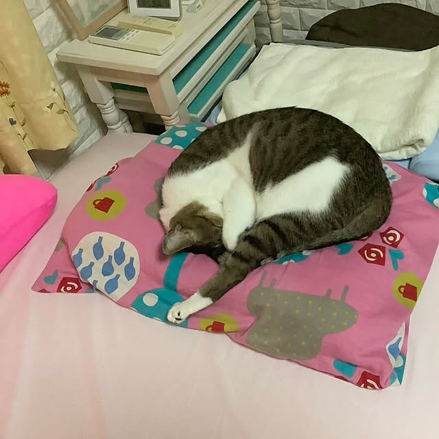 haruminさんの実例写真