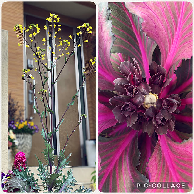 yukarin-gardenさんの実例写真
