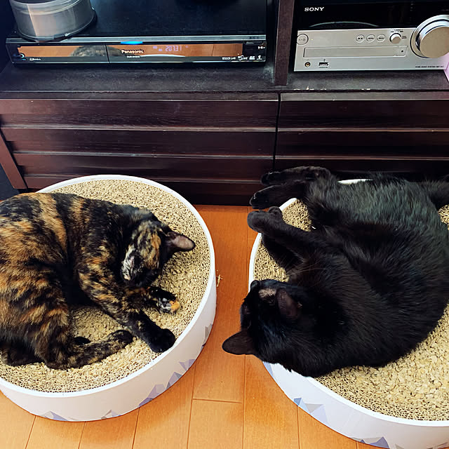 mameazさんの実例写真