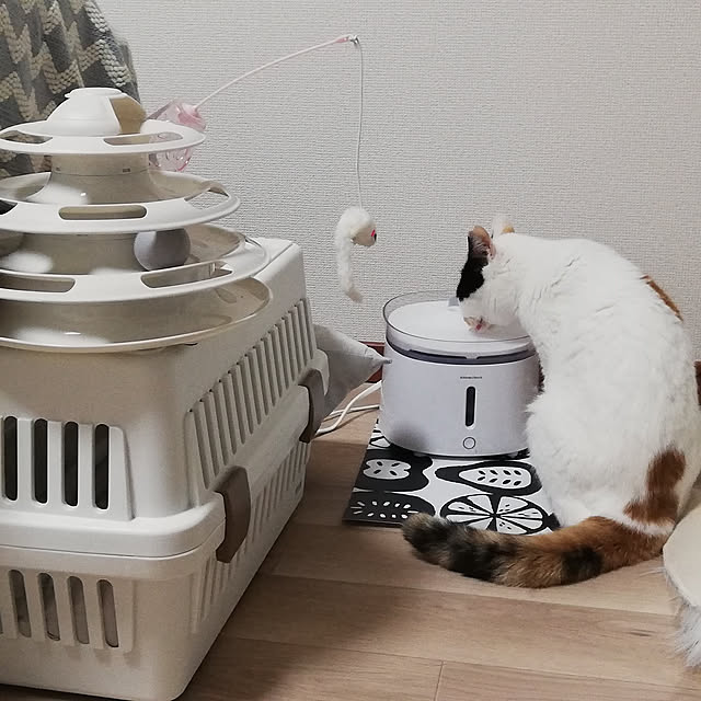 chocoさんの実例写真