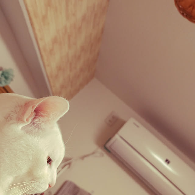 keikomokonさんの実例写真