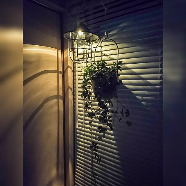 38さんの実例写真