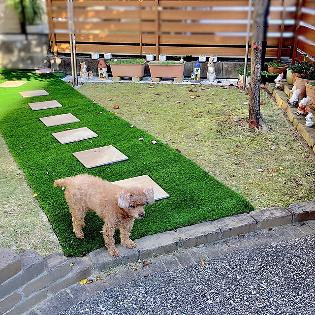 haruminさんの実例写真