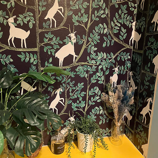 HACHIJIRUSHIさんの部屋