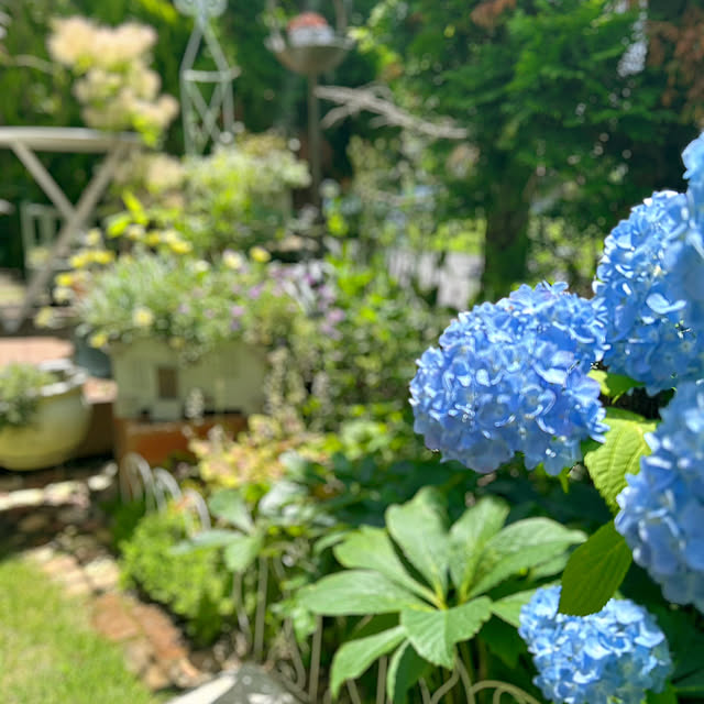 sunabaさんの部屋