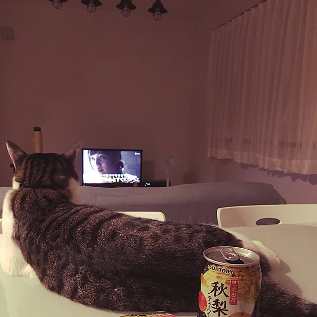 nomu2さんの実例写真