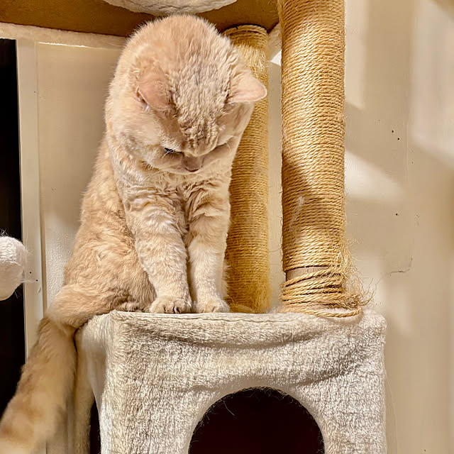 naokoさんの部屋