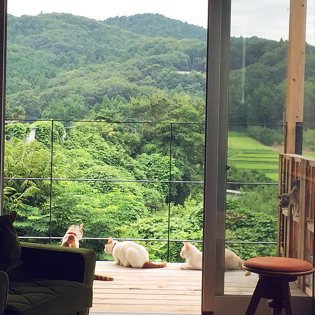 sakurasakuさんの実例写真