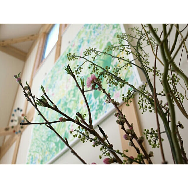 kuracirica_mycoさんの実例写真