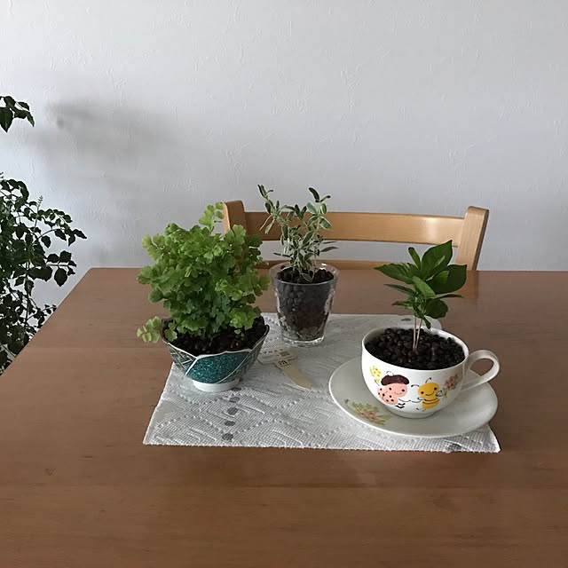 pontaさんの実例写真