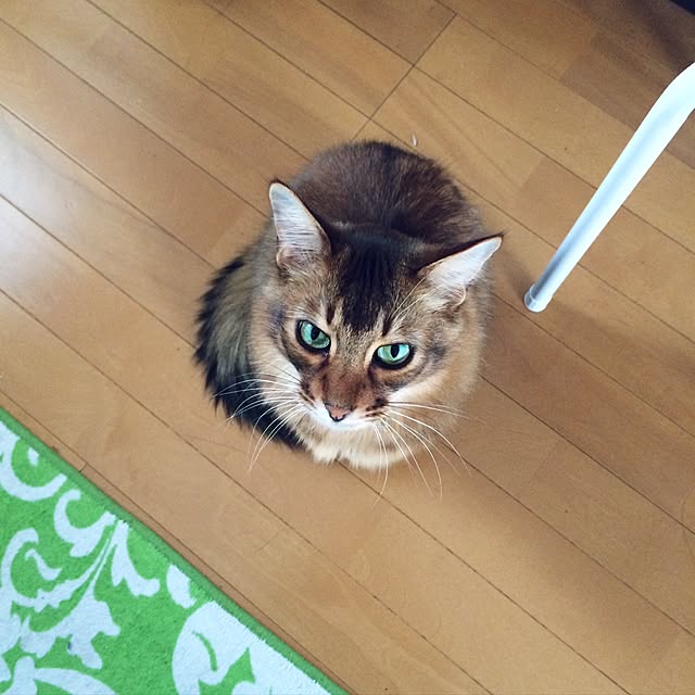 Yumiさんの実例写真