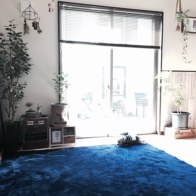 kitoneさんの実例写真