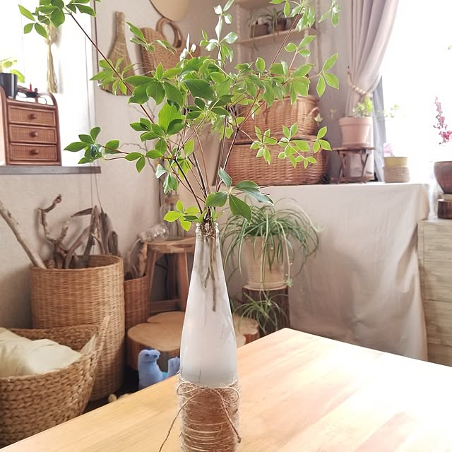 midoriさんの部屋