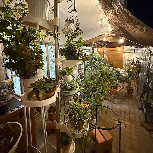 Aqettyさんの部屋