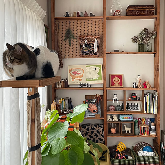 nobikoさんの部屋