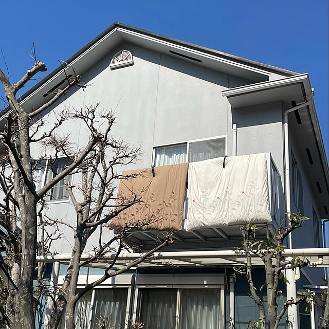 nobikoさんの実例写真