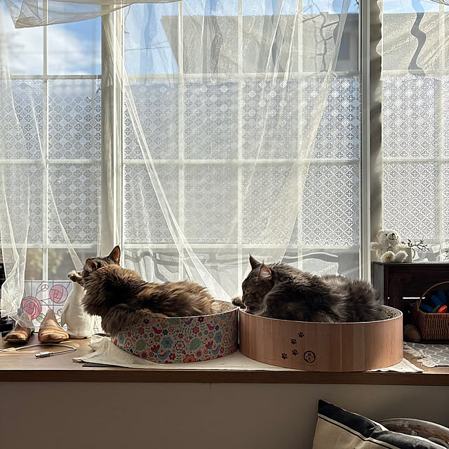 mayumiさんの部屋