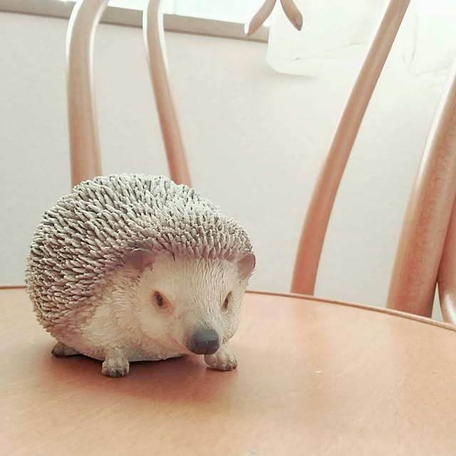 0c.c0さんの実例写真