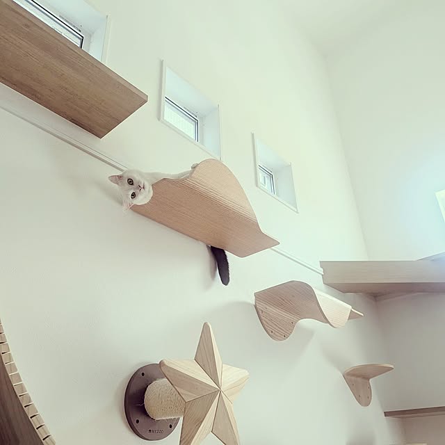 shiratamaさんの部屋