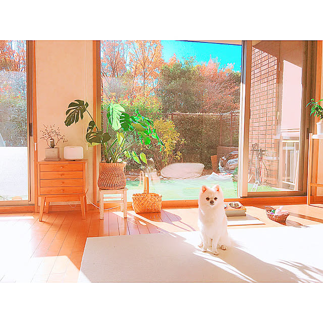 tokoさんの実例写真