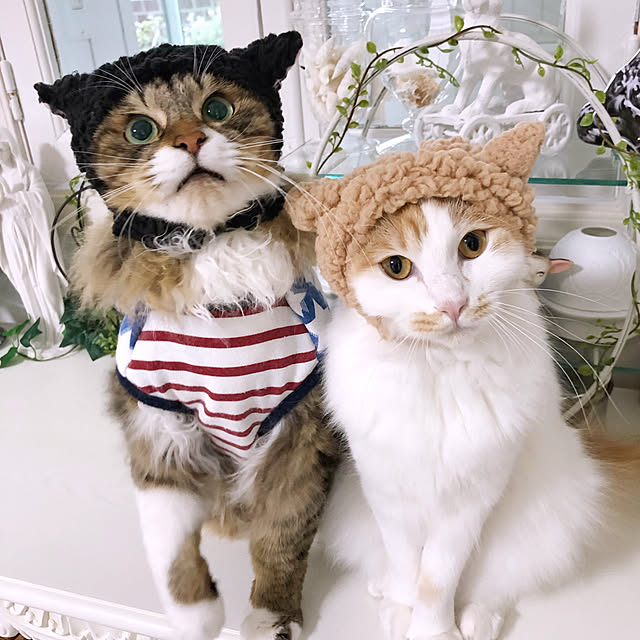 yuchiさんの実例写真