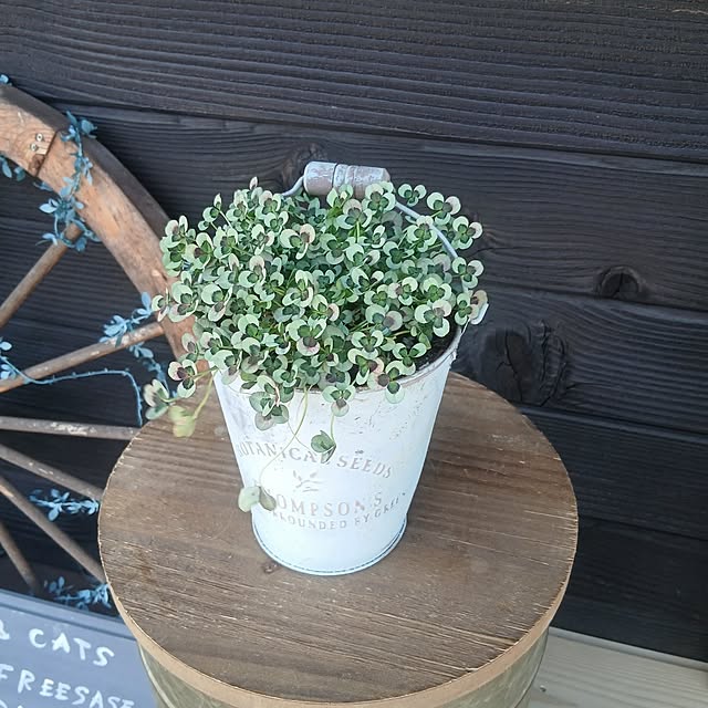 murasaki808さんの部屋